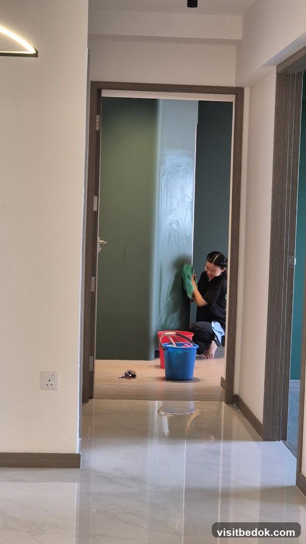 Cleaning a Wall
