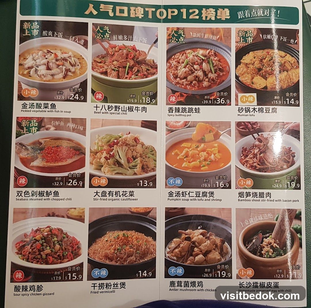 人气口碑TOP12榜