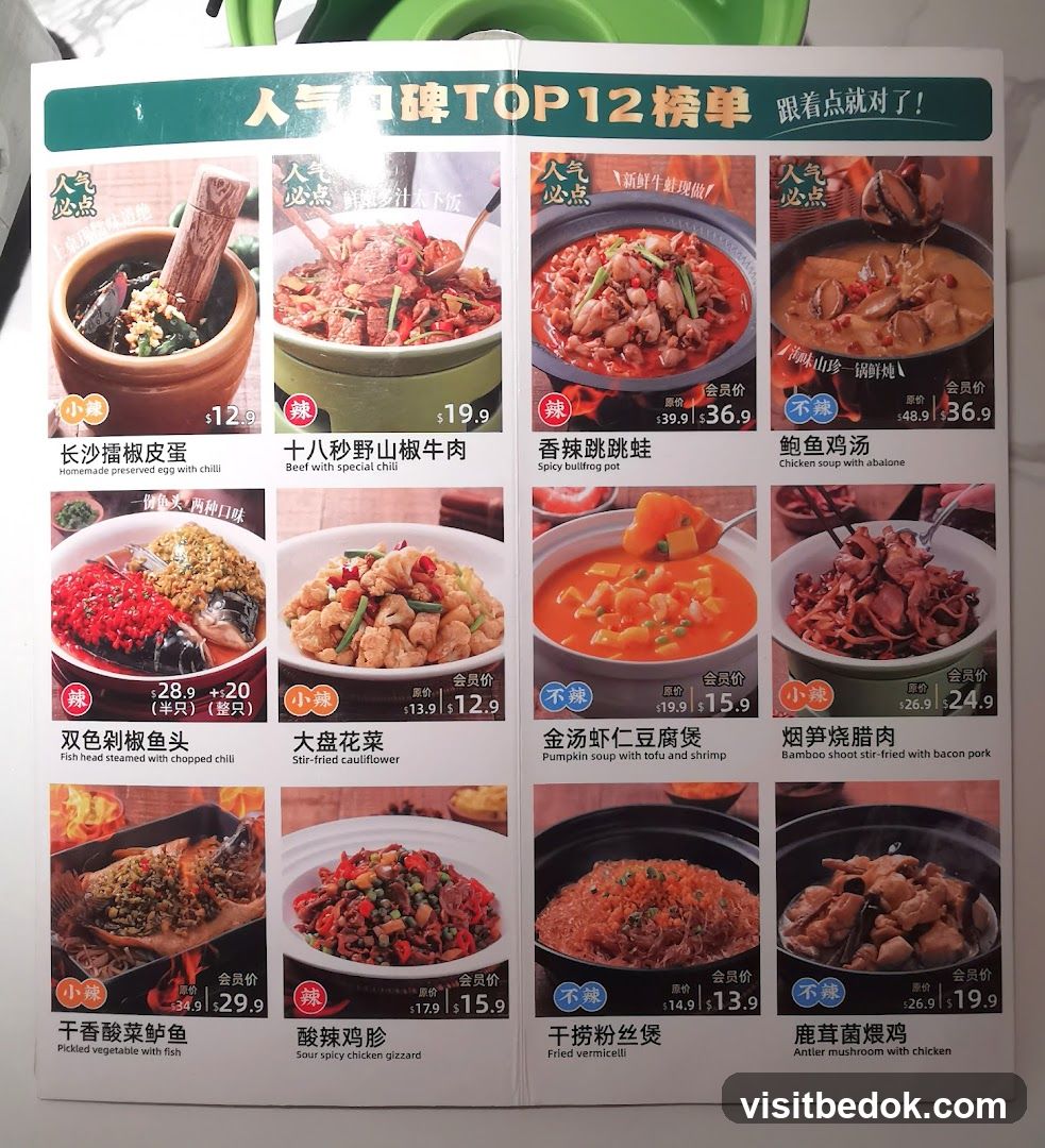 人气口碑TOP12榜单
