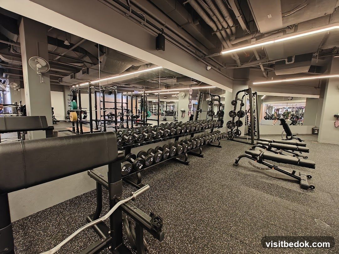 Gym Interior