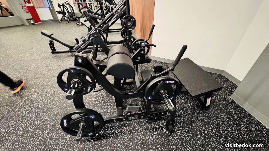 Gym Equipment