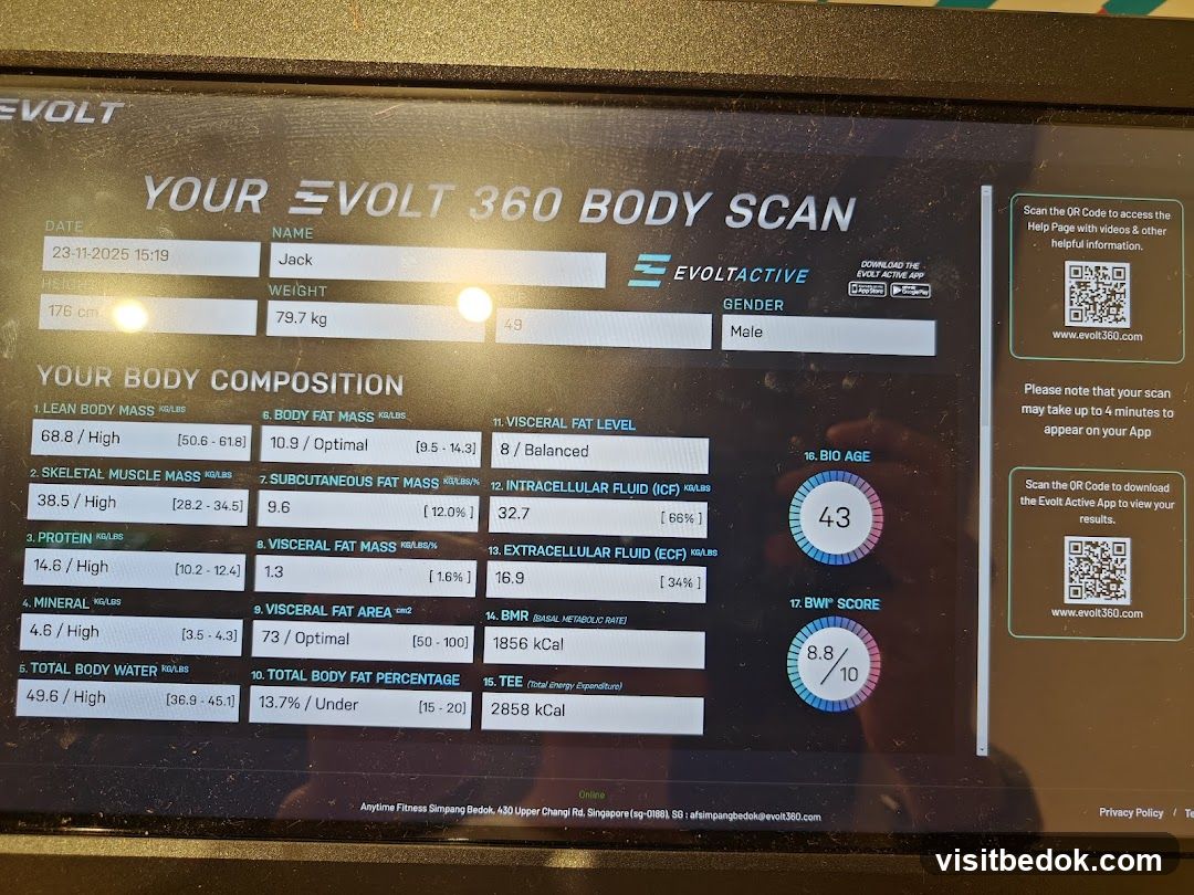 Evolt 360 Body Scan Results