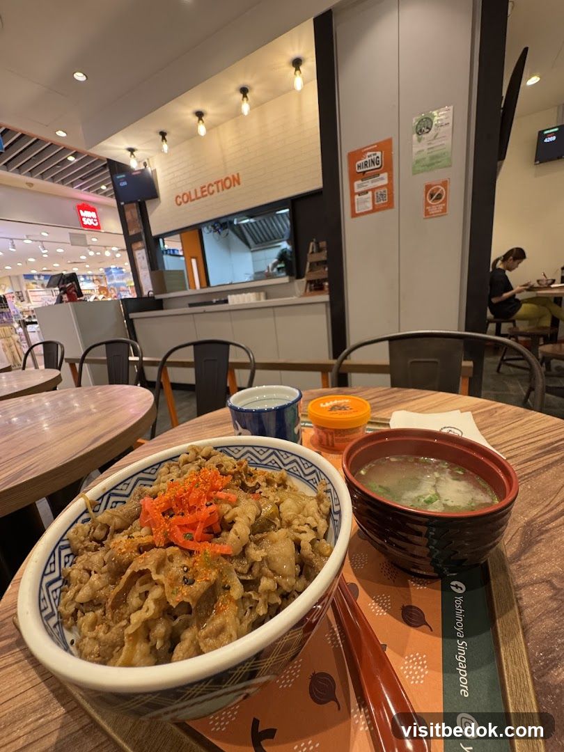 Beef Bowl Meal