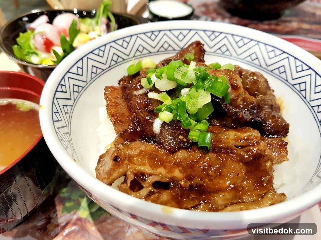 Beef Bowl with Side Salad and Soup