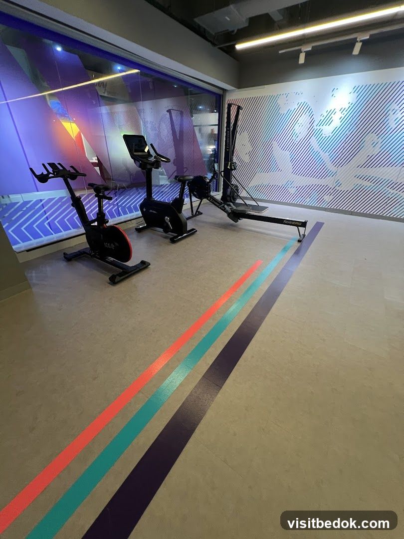 Gym Equipment