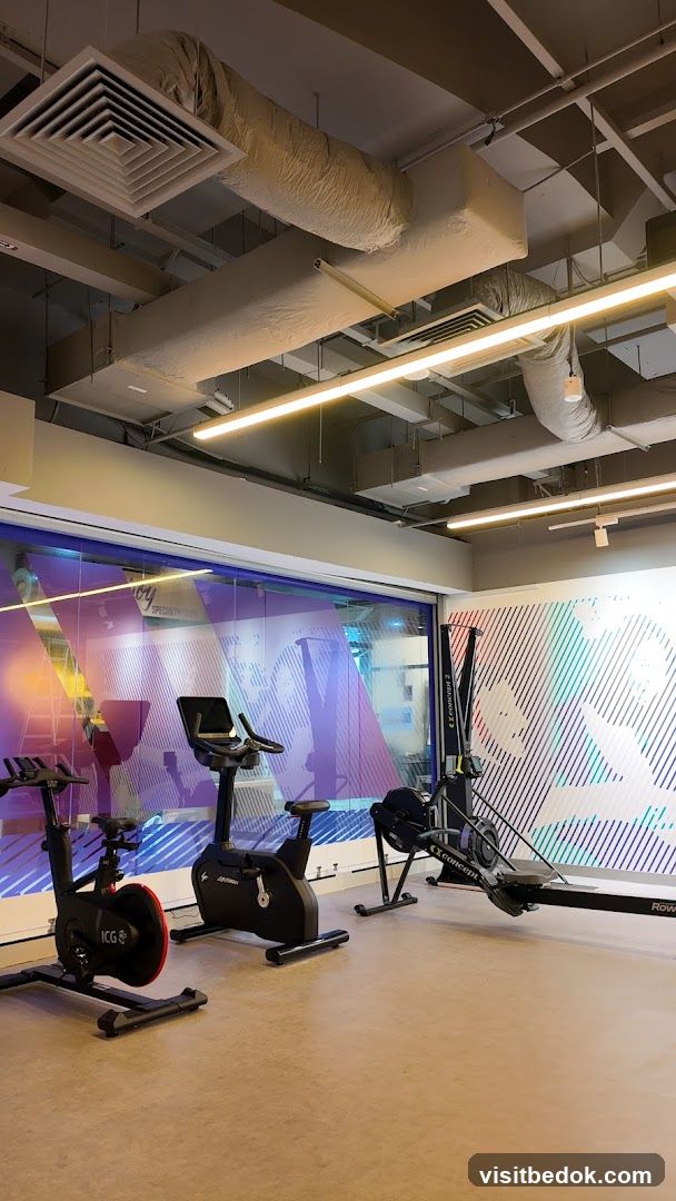 Gym Equipment