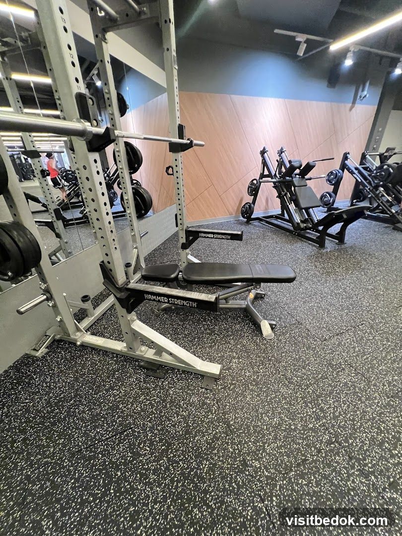 Gym Equipment