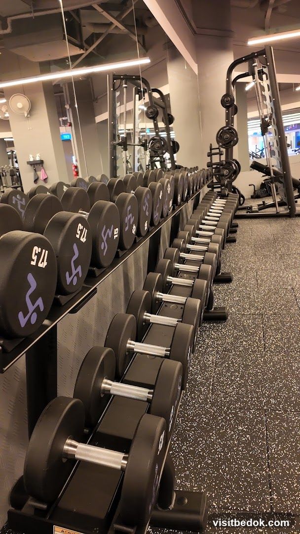 Dumbbell Rack in Gym