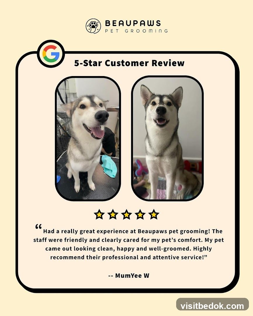 Beaupaws Pet Grooming