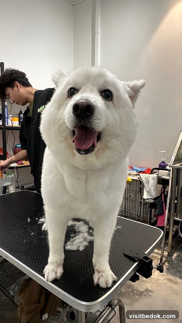 Beaupaws Pet Grooming