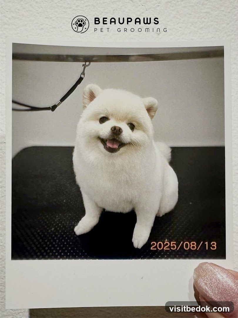 Beaupaws Pet Grooming