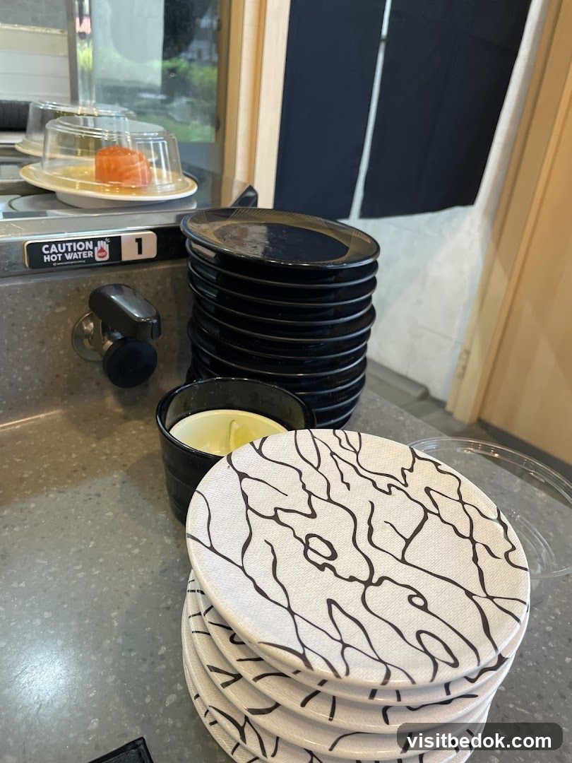 Sushi Plates and Salmon