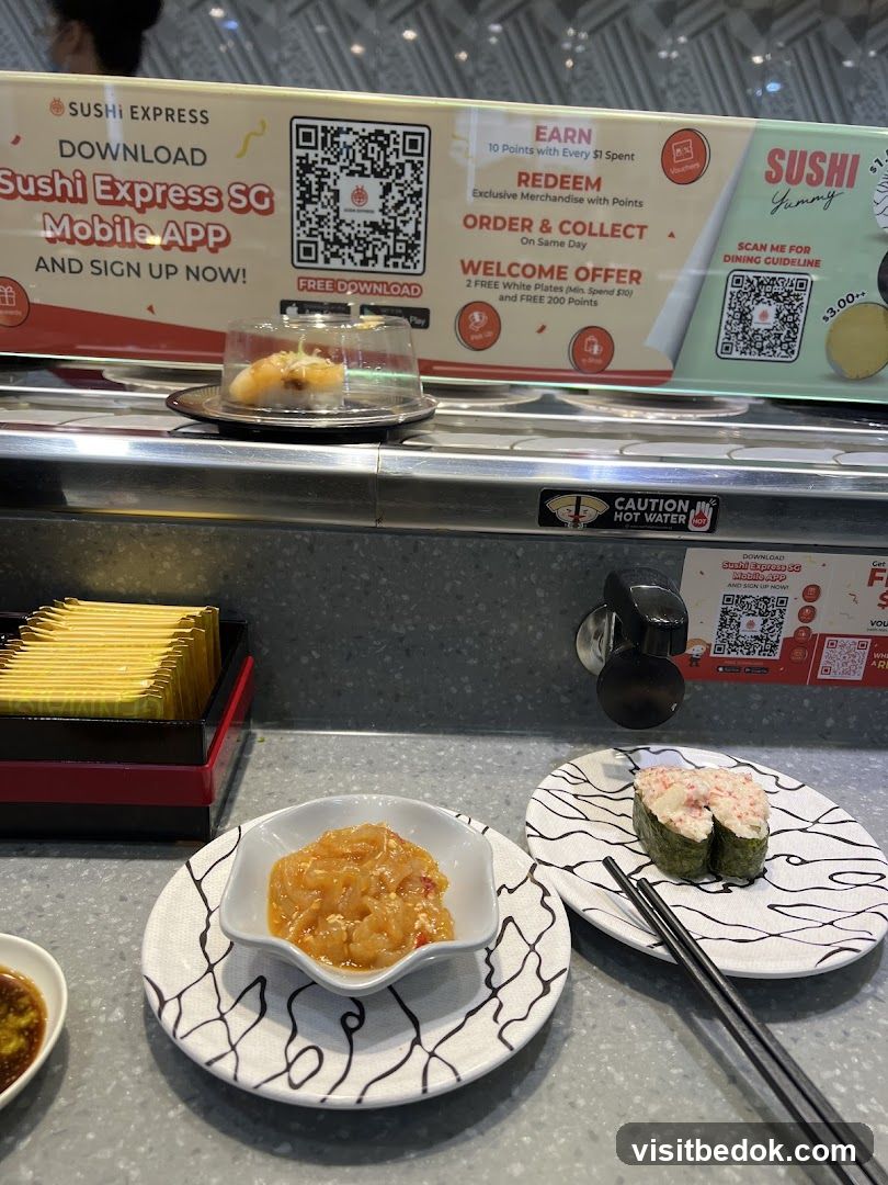 Sushi Conveyor Belt