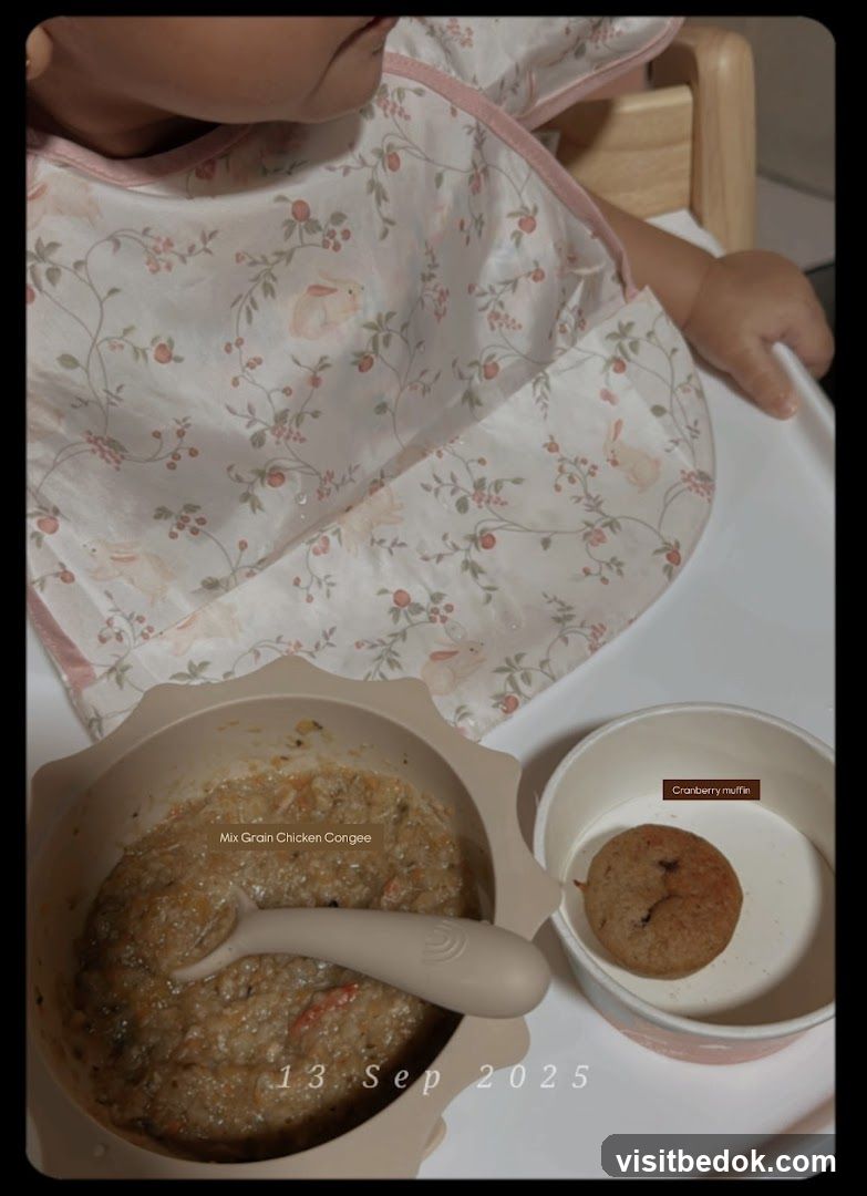 Baby Meal