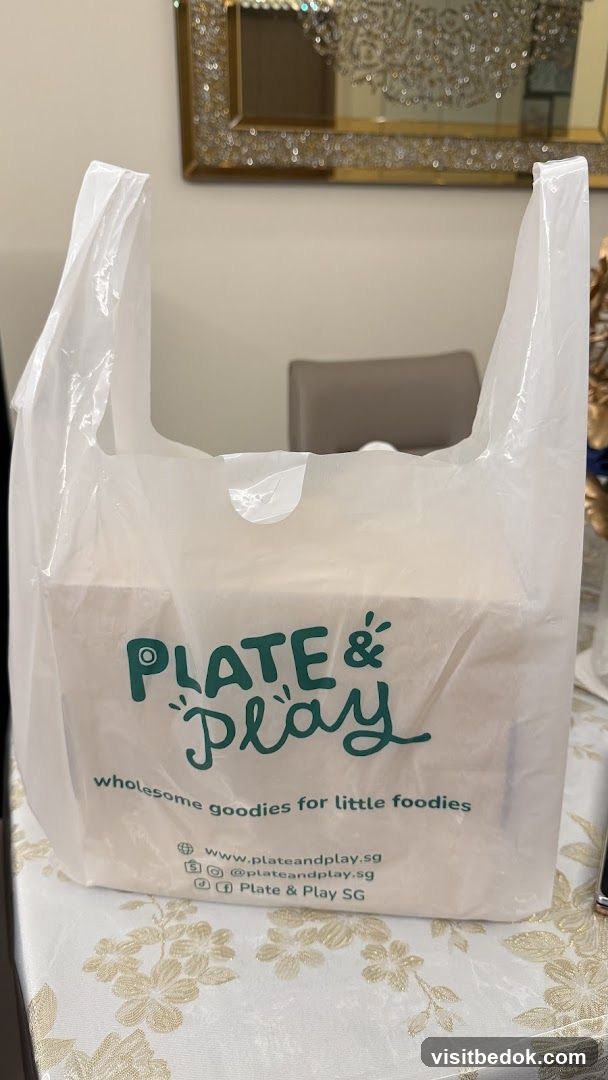 Plate & Play Bag