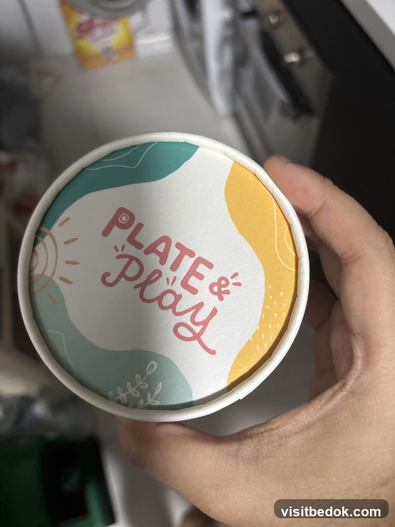 Plate & Play Container