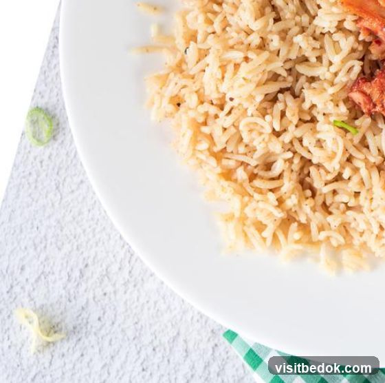 Rice and Meat Dish