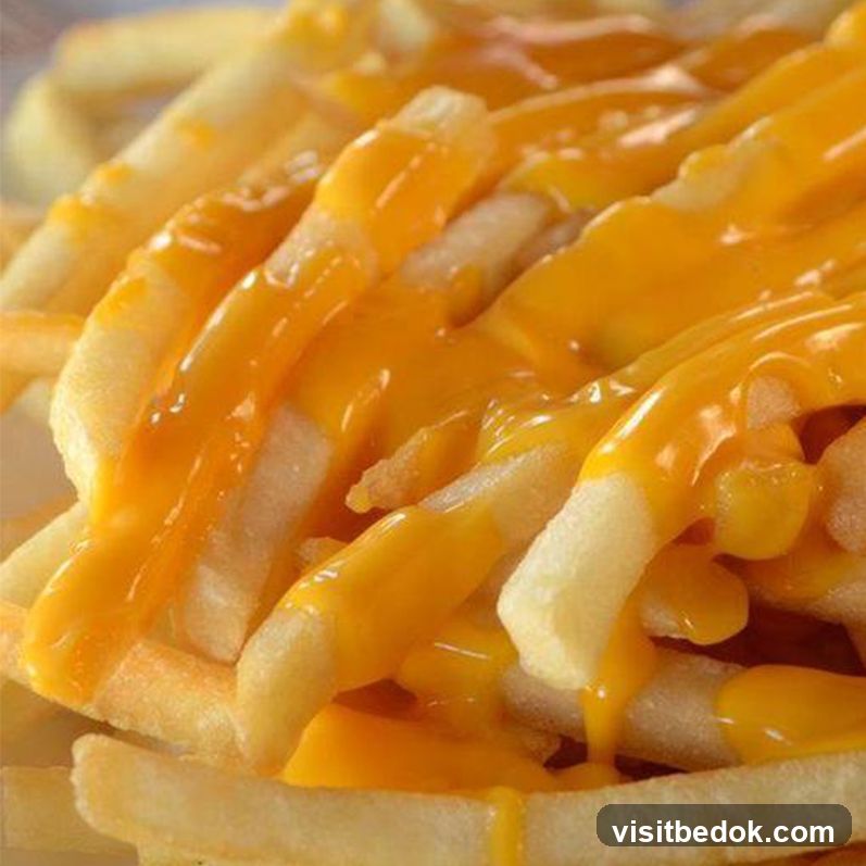 Cheese Fries