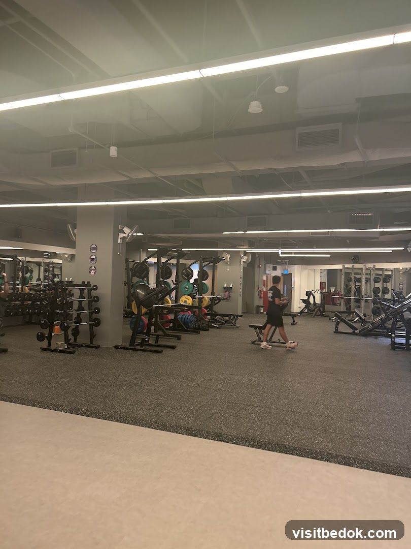 Gym Interior