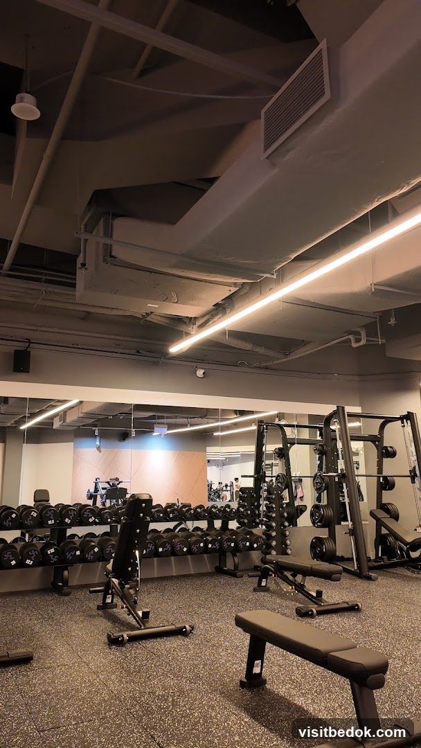 Gym Interior