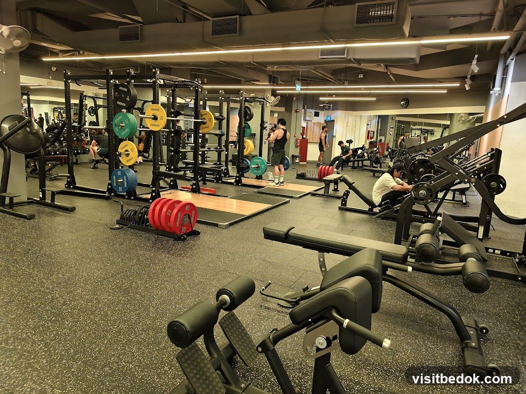 Gym Interior