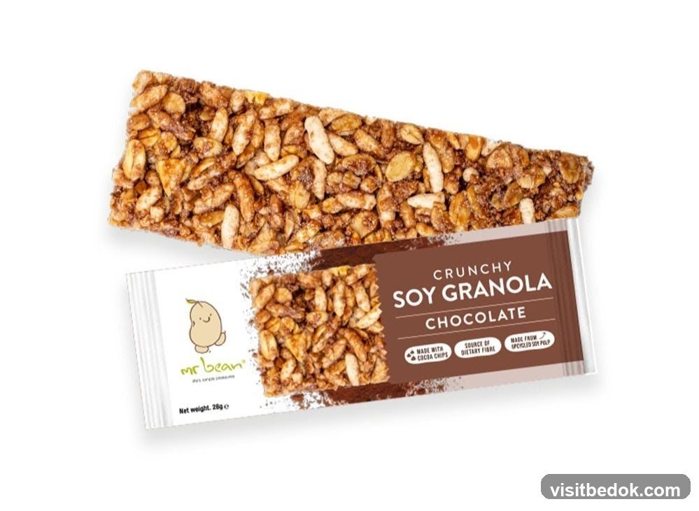 Chocolate Soy Granola Bar