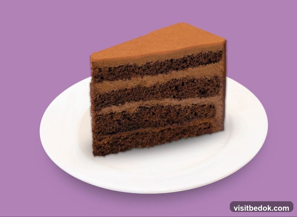 Chocolate Cake Slice