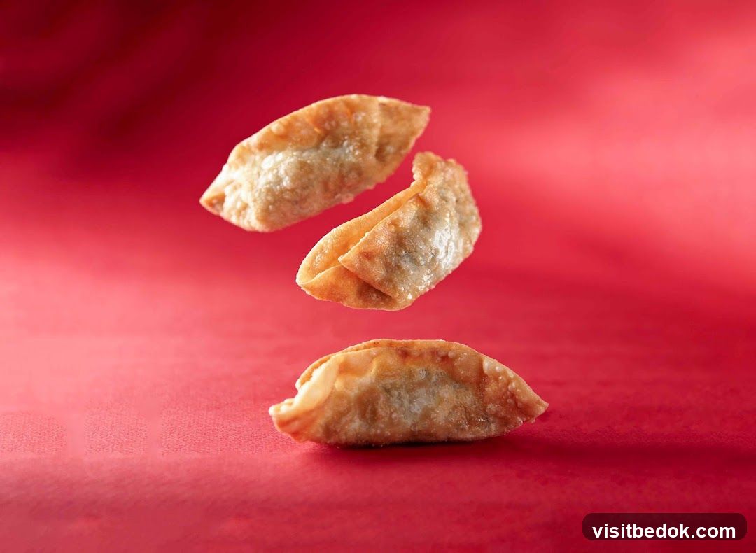 Fried Dumplings