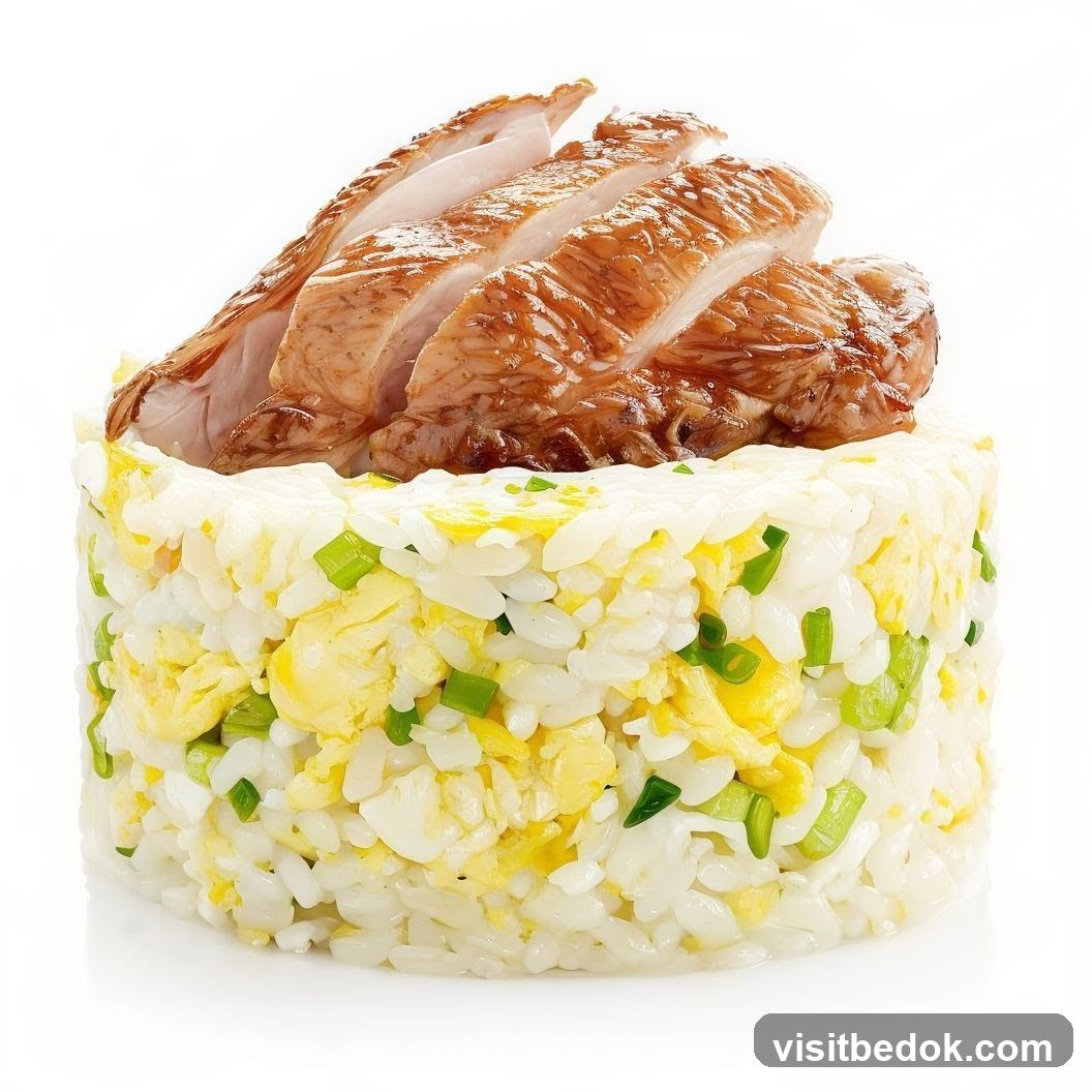 Sliced Roasted Chicken with Fried Rice