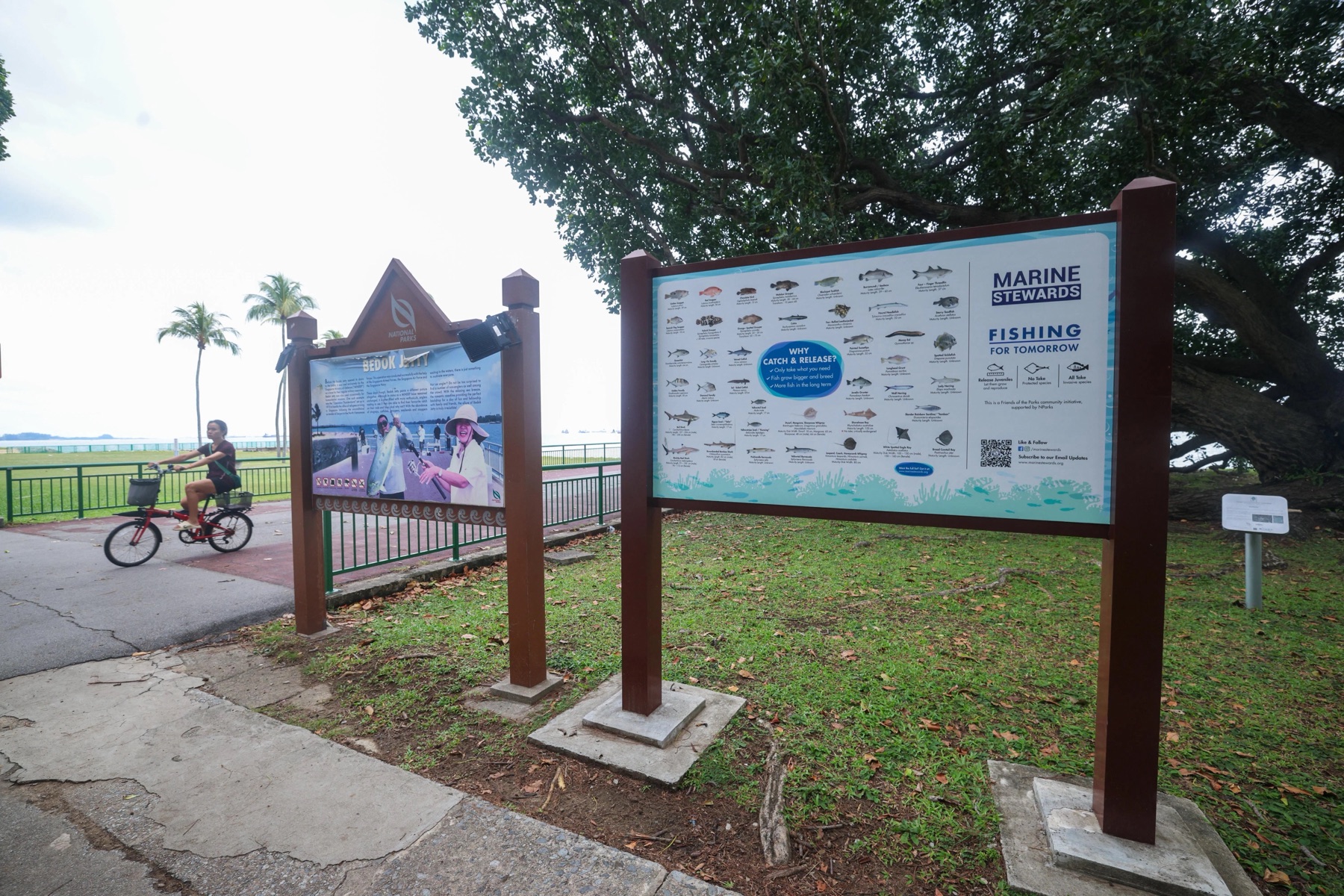 NParks Bedok Jetty sign and Marine Stewards fishing board beside the park connector, with a cyclist passing